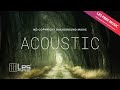 In The Forest - Acoustic Indie No Copyright / Royalty Free Background Music