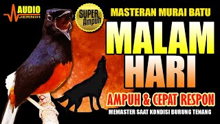 Download lagu MASTERAN MURAI BATU MALAM HARI | CEPAT RESPON & AMPUH | masteran murai batu terbaik mp3 Download lagu MASTERAN MURAI BATU MALAM HARI | CEPAT RESPON & AMPUH | masteran murai batu terbaik mp3