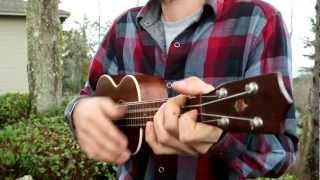 "The Music Is You: A Tribute To John Denver" Album Trailer 3 - Album Out Now