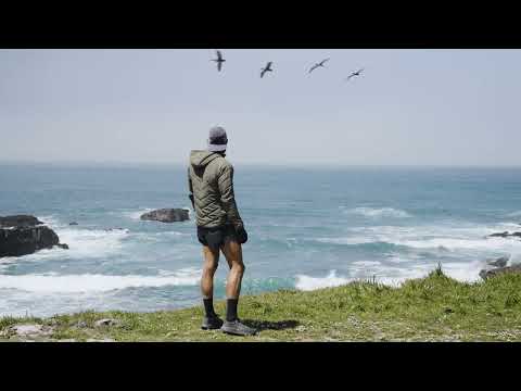 iFIT | Redwoods Walk to Run Series with Tommy Rivs