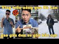 Vlog Hà Lan DX Gaoranger Gấu đen Gấu Bắc Cực Bear Polar Wild Force Powerrangers Shorts