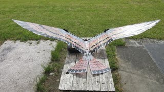 New Version Pata4 V-5.4 Flight Video 2