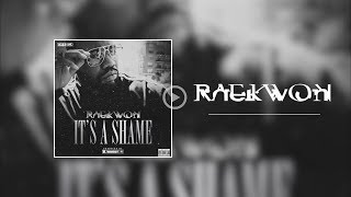 Raekwon - It&#39;s a Shame   (Single)