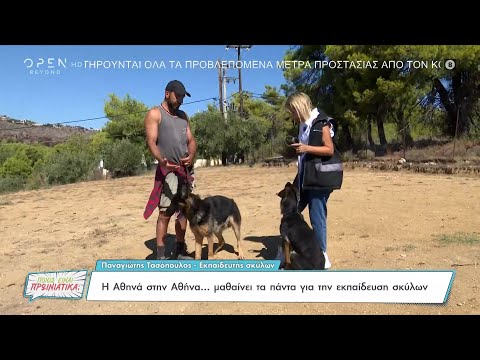 , title : 'Η Αθηνά στην Αθήνα… μαθαίνει τα πάντα για την εκπαίδευση σκύλων | Ποιος είναι πρωινιάτικα; | OPEN TV'