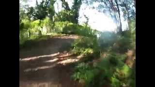 preview picture of video 'discesa MTB da Roncolo con capriolo + GoPro'