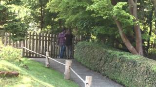 Falling by the Wayside - People In Planes