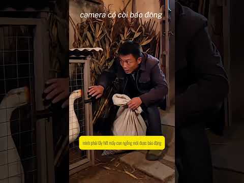 Nhà ai cũng nên gắn một cái camera báo động
