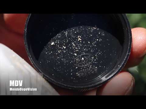 The Mountain Project: BioTactics Release The Bugs