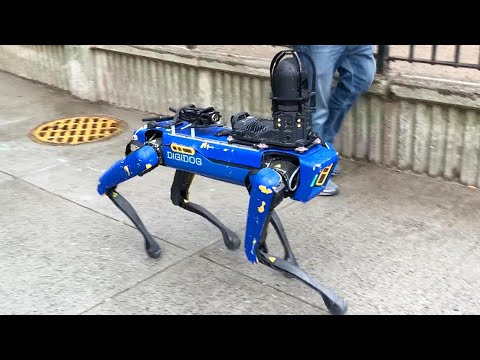 Critics Call This Crime-Fighting Robot Dog Creepy