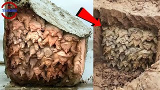 [問卦] 小剛竟然開放留言了，第一個想留什麼？