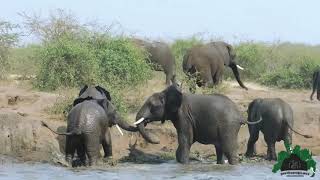 Trek Gorilla Safaris - 128