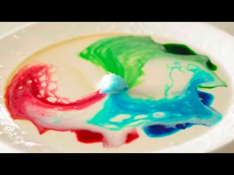 Perfect Quarantine Food Experiments!