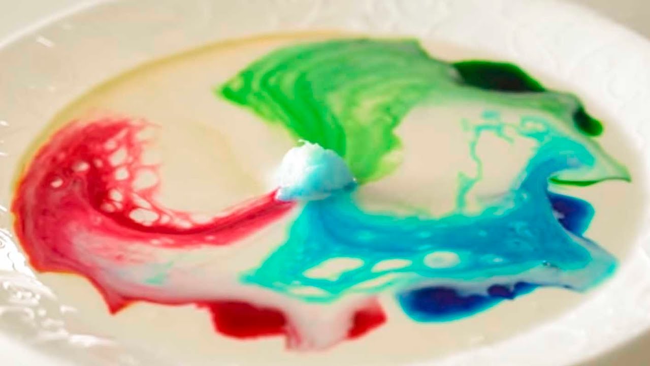 Perfect Quarantine Food Experiments!