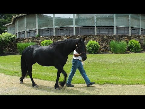 A Day in the Life of Zoe ISF