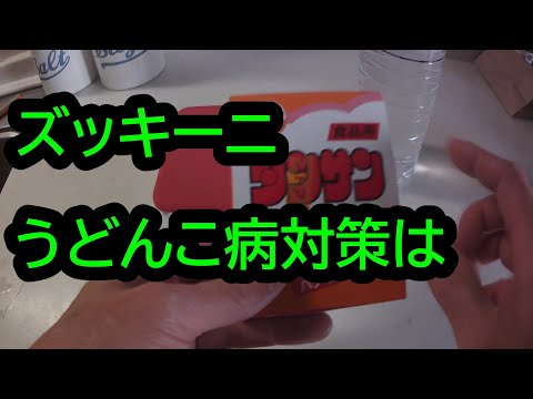 ズッキーニに牛乳は良いのでしょうか？うどんこ病も治りますか？  庭園