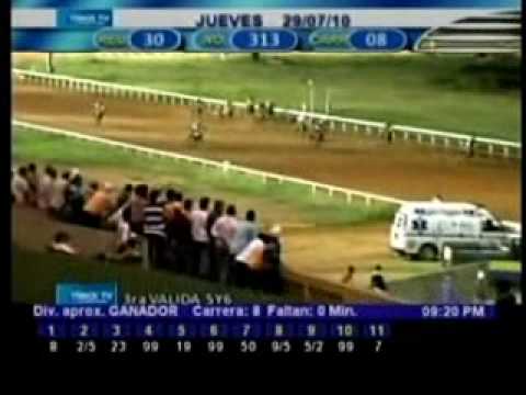 Resumen 29 de Julio 2010 - Santa Rita