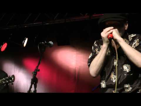 DELTA BLUES BAND - 8 (2011)