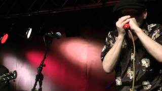 DELTA BLUES BAND - 8 (2011)