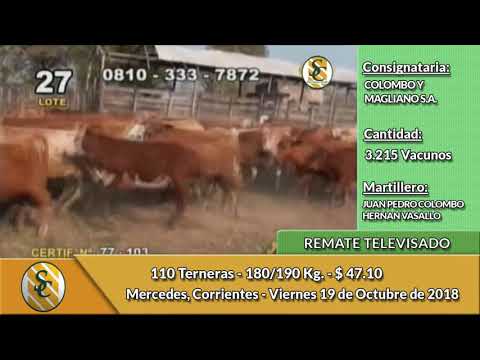 19-10-18 - Remate Televisado de Colombo y Magliano - Corrientes