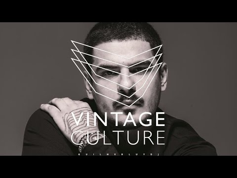 MELHORES DO VERÃO 2025 l VINTAGE CULTURE DJ SET - GUILHERME LUY