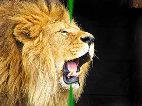 Floriana vs Sliema.wmv