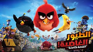مغامرات الطيور الغاضبة لإنقاذ جزيرتهم افلام ديزني الملخص كامل ملخصات افلام كرتون angry birds