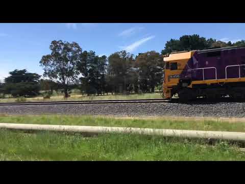 N456 4 PTV livery cars