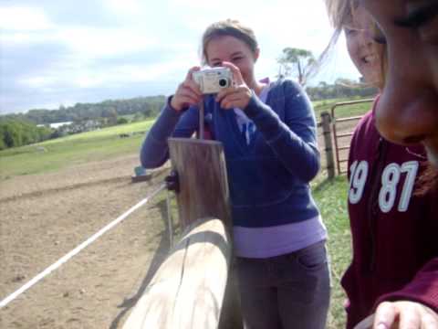 Janelle gets a Shock.