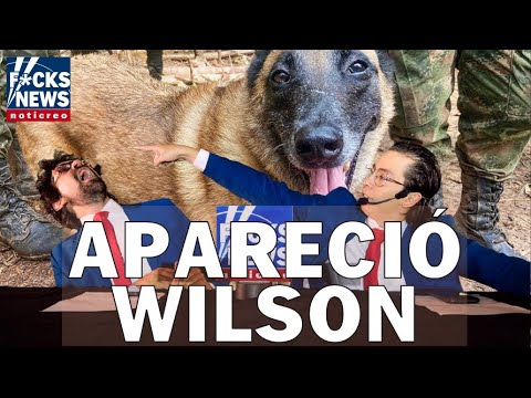 F*cksNews: Apareció Wilson