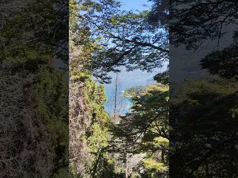 Entre los árboles aparece este paraíso escondido del Lago Puelo #ParaisoPatagonico #LagoPuelo