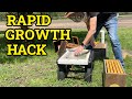 Beekeeping Expansion Secret From Small Nuc To Powerhouse Hive