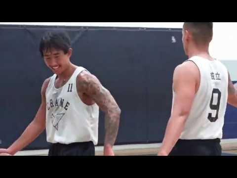 The 416ers vs Paper Crane | Sunday tier 3 playoffs - tcbl 2019 summer