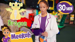 Meekah Plays Veterinarian! 🐶 Helping Animals and Pets | How Does It Work? | Guess What We Found