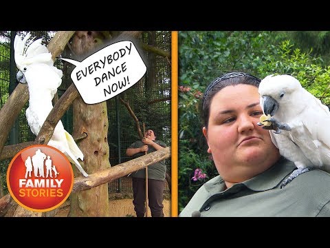Alle Vögel sind schon da: Praktikum im Zoo | Volles Pfund Jasmine | Family Stories