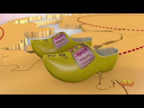 TV oranje special - Jan Leliveld