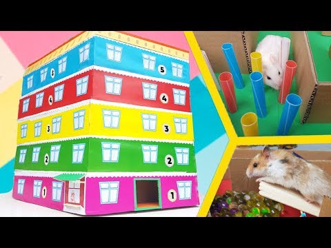 DIY Labyrinth Carton For Hamsters In A Form Of 5 - Level