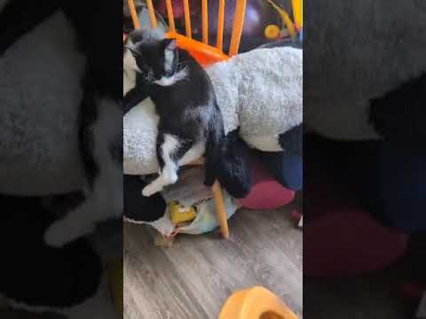 20 de noviembre de 2024