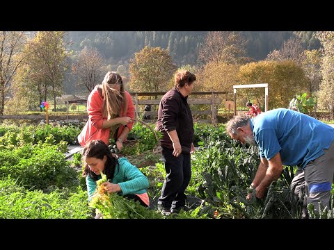 Vite che sanno di Vangelo. L'avventura solidale di "Casa Vite Intrecciate" a Giustino (TN)