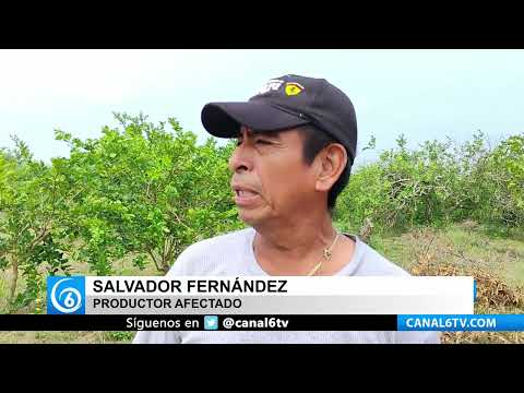 Video: Productores de Veracruz exigen arreglar carreteras, denuncian negativa del gobierno estatal