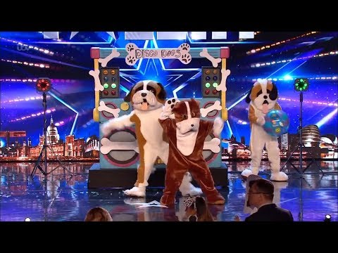 Disco Dogs Surprise Full Audition Britain's Got Talent 2019 S13E08