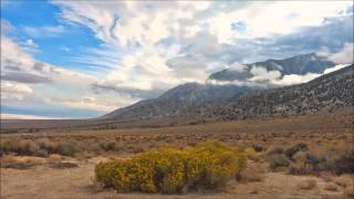 the eye of the storm