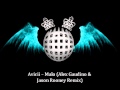 Avicii Malo Alex Gaudino Jason Rooney Remix
