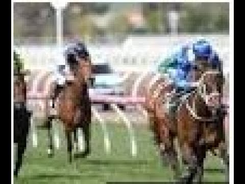 Winx - Winx triumphs at Turnbull Stakes for 21 wins in a row - 2017 Turnbull Stakes - Winx