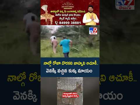 నాల్గో రోజూ దొరకని జాహ్నవి ఆచూకీ..  వెనక్కి వచ్చిన కుక్క మాయం -TV9