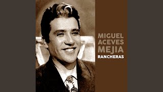 Viejos Amigos Lyrics English Translation