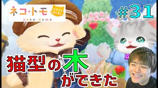 ねことも ～猫型の木ができたけど、ワクワクで肩甲骨がうずくらしいです～【ネコトモ スマイルましまし 実況 #31】