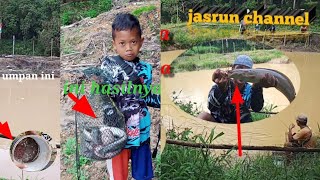 Download lagu umpan ikan lele air keruh paling ampuh lihat hasilnya.! mp3