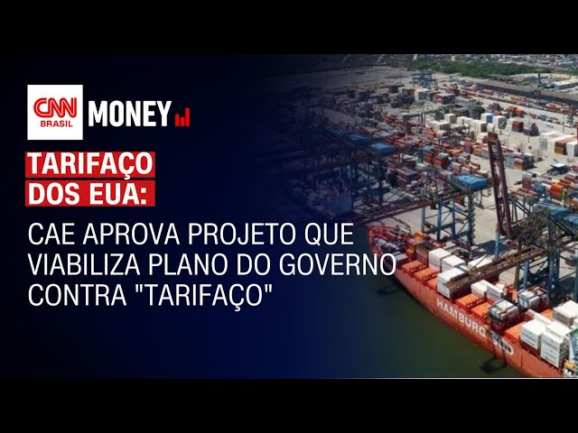 CAE aprova projeto que viabiliza plano do governo contra "tarifaço" | Money News