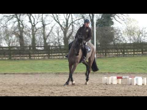 Andrew Hoy Masterclass in Minutes - Canter Poles