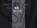 Eyes on you x Zara Zara - Gautam